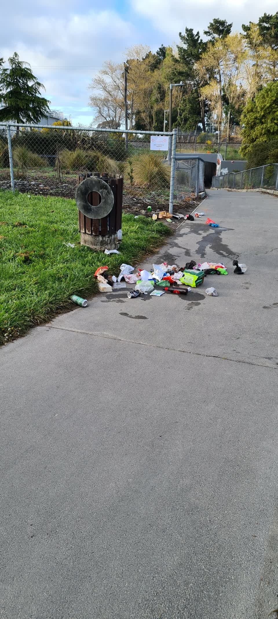 The photograph attached to this rubbish/recycling report