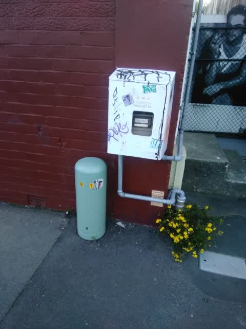 Graffiti, a report photo