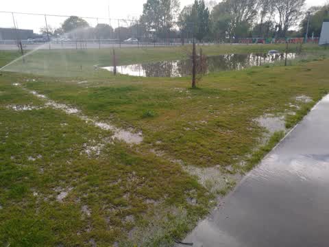 Parks — a report photo