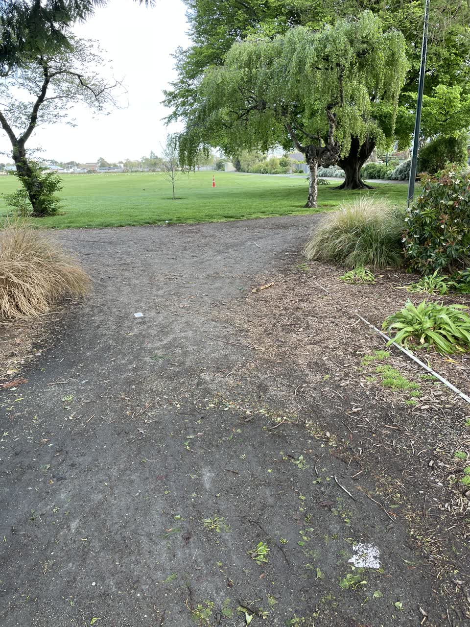 The photograph attached to this parks report