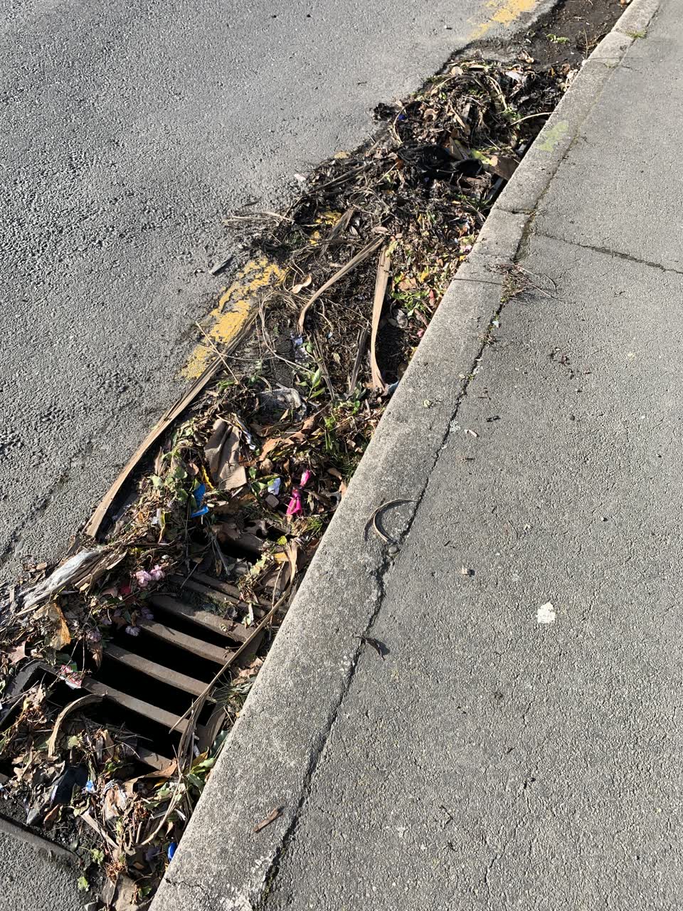 The photograph attached to this sewer - leak / blockage report