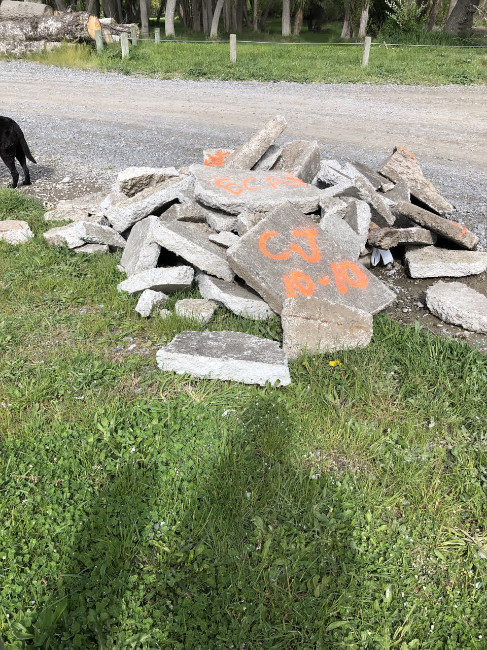 The photograph attached to this parks report