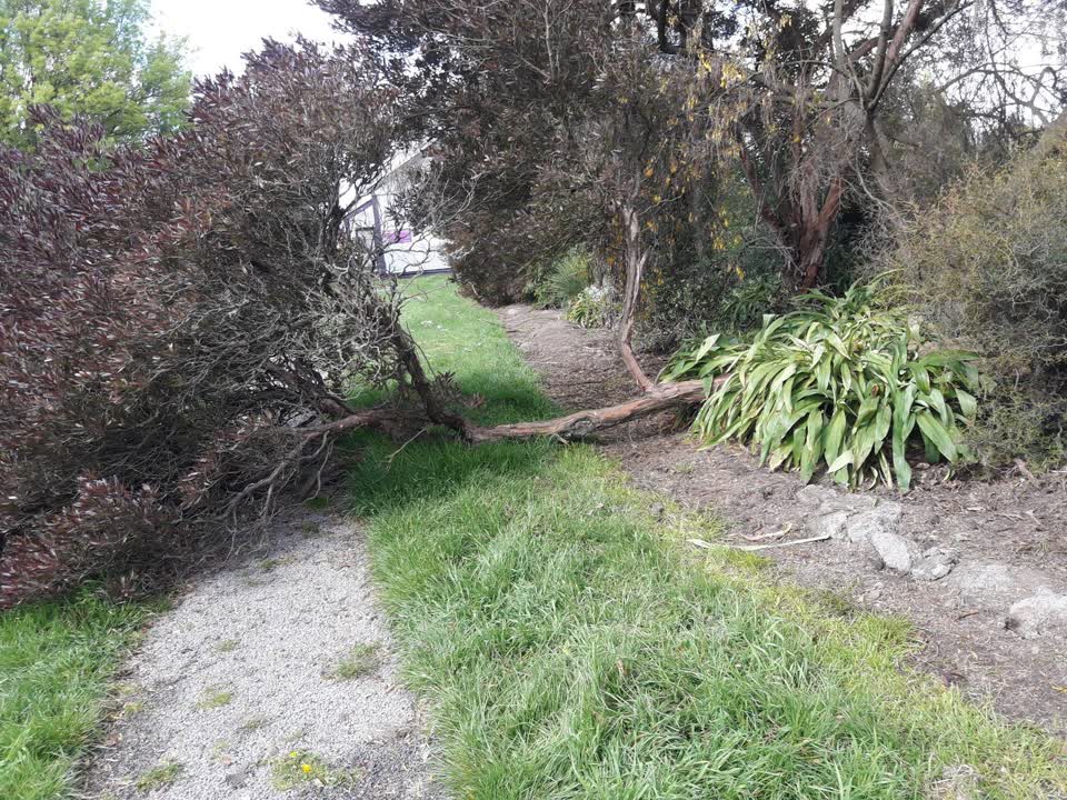 The photograph attached to this parks report