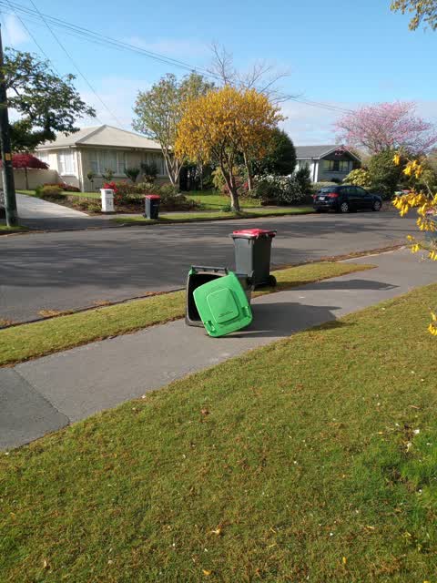 Rubbish/Recycling, a report photo