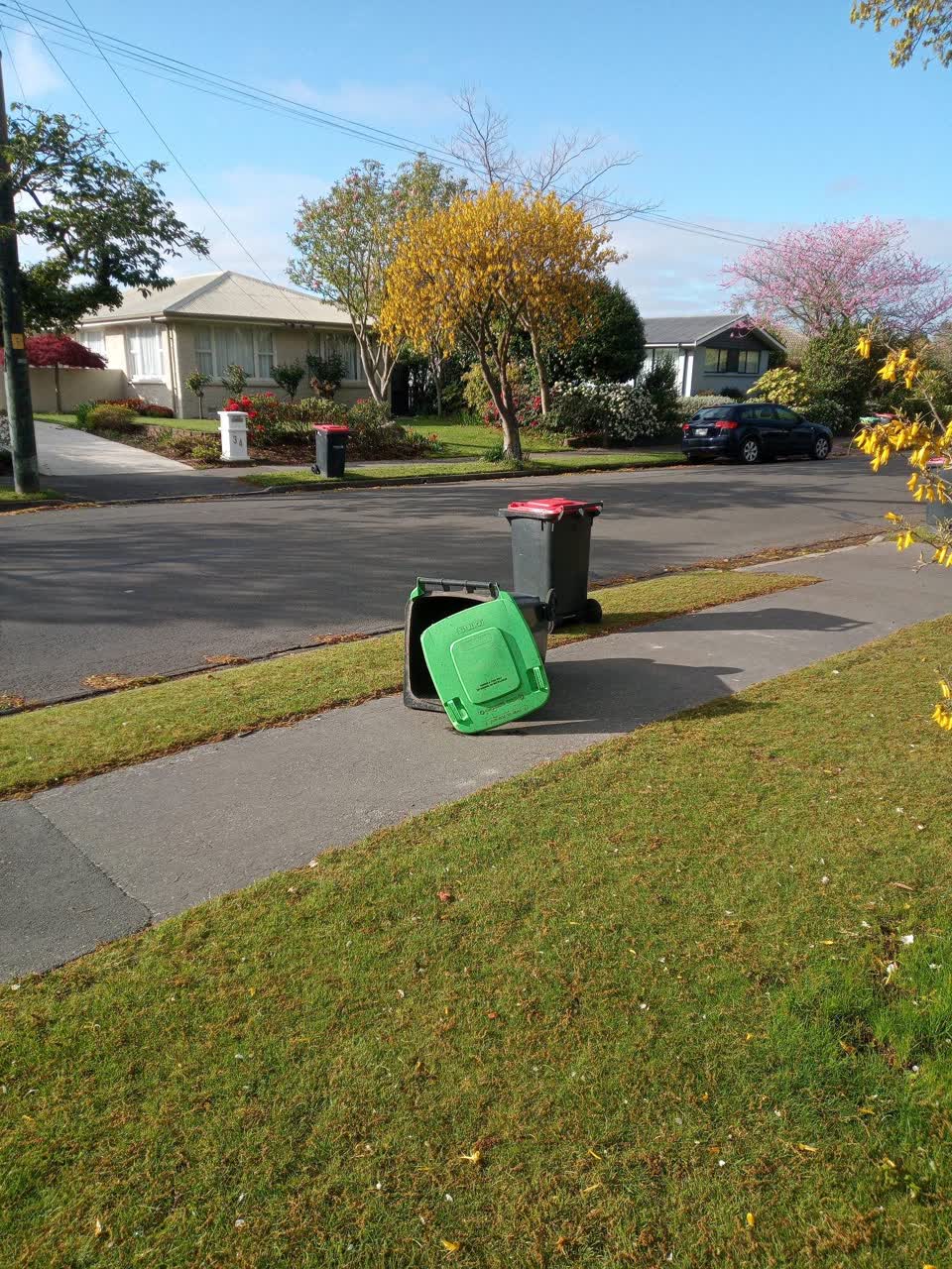 The photograph attached to this rubbish/recycling report