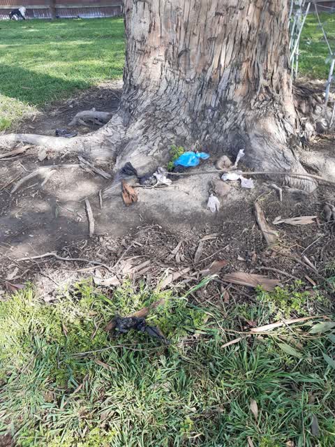 Parks, a report photo