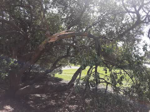 Parks, a report photo