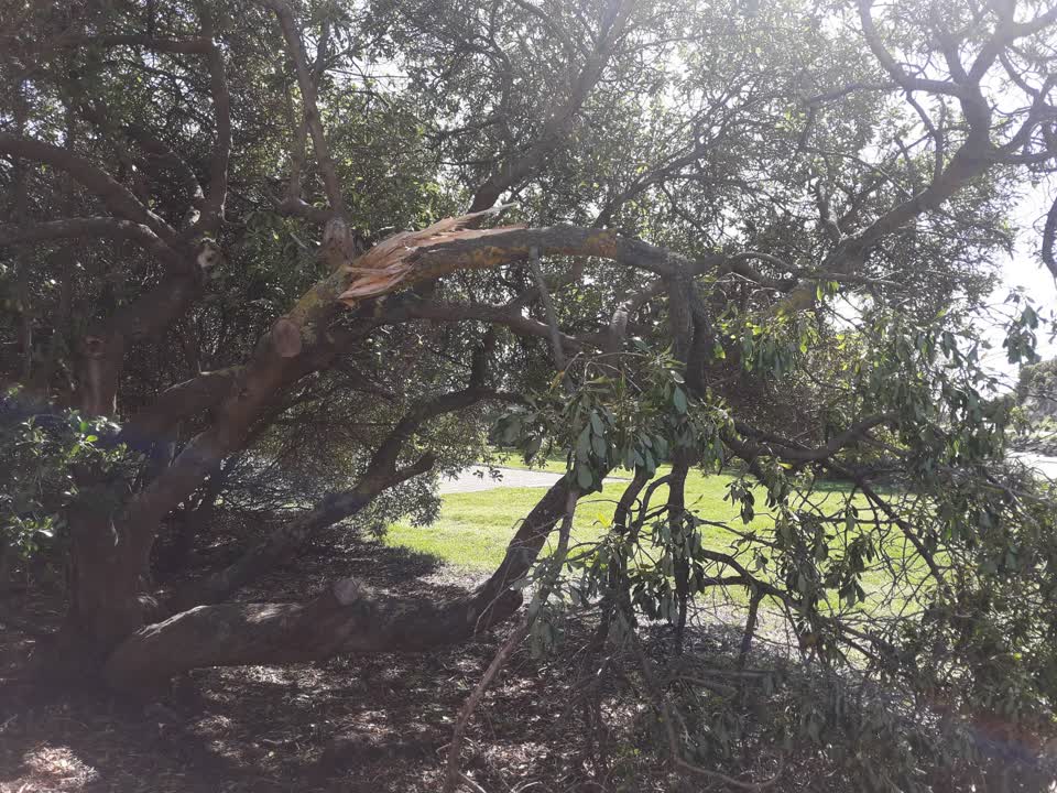 The photograph attached to this parks report