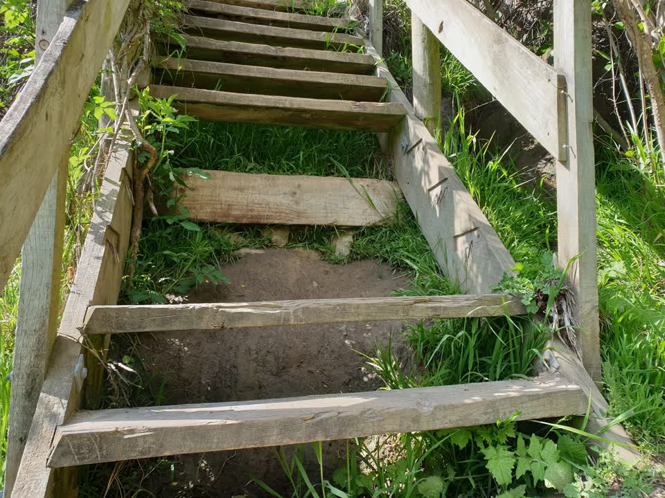 The photograph attached to this parks report