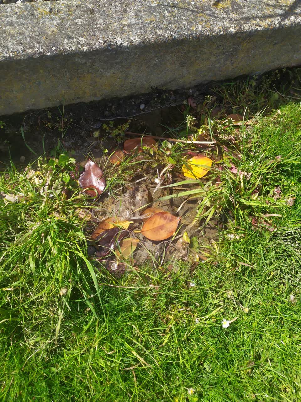 The photograph attached to this water leak report