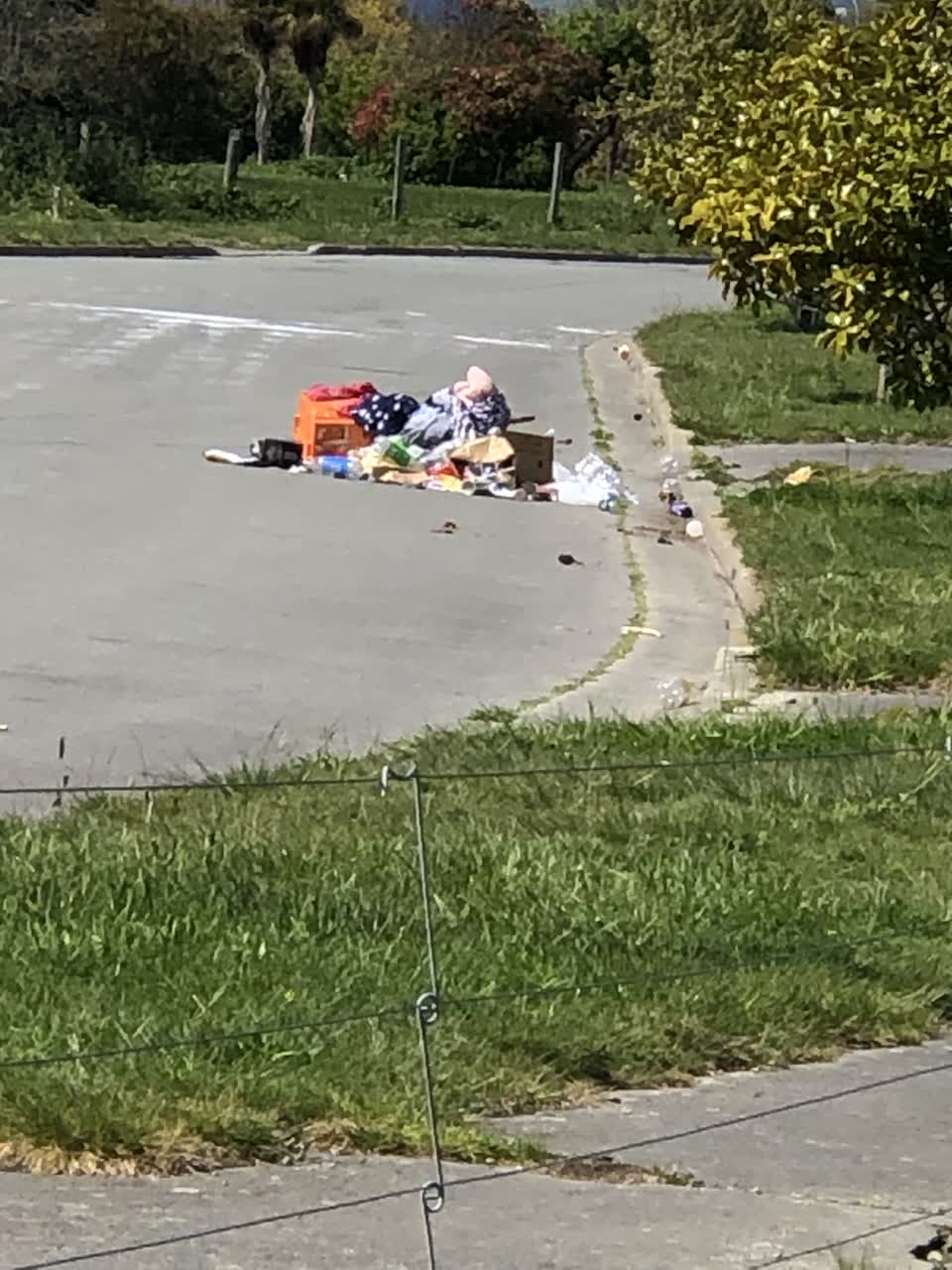 The photograph attached to this rubbish/recycling report