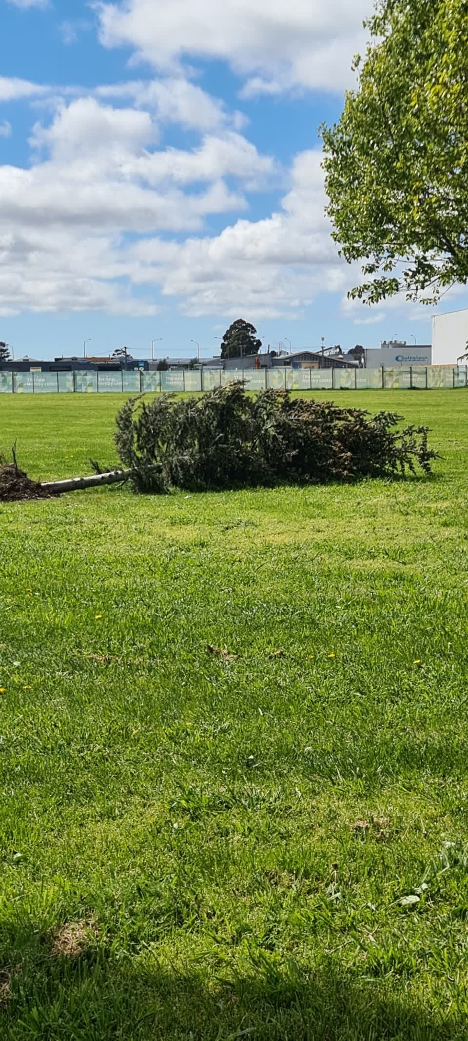 The photograph attached to this parks report