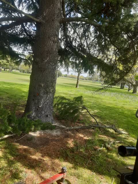 Parks, a report photo