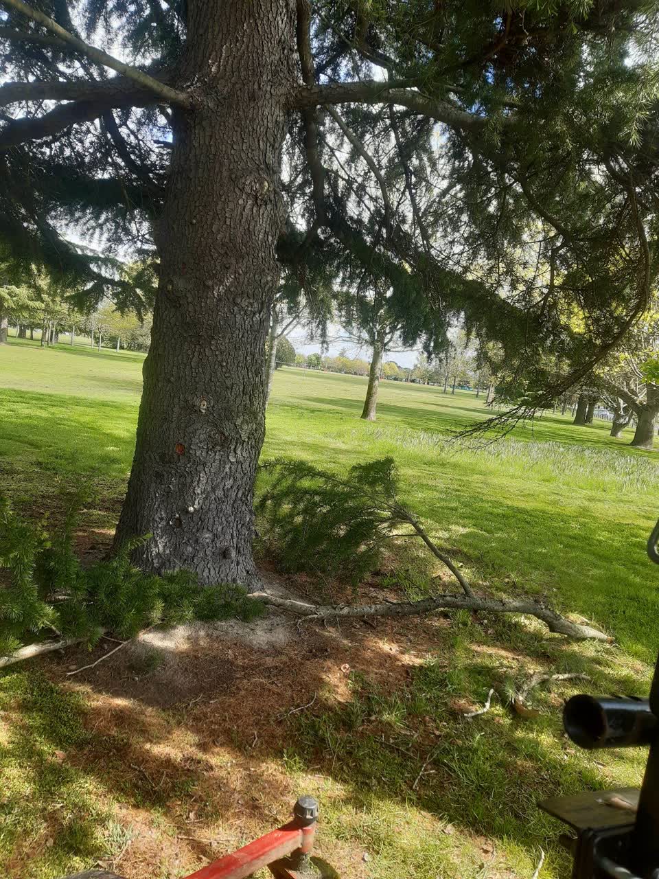 The photograph attached to this parks report