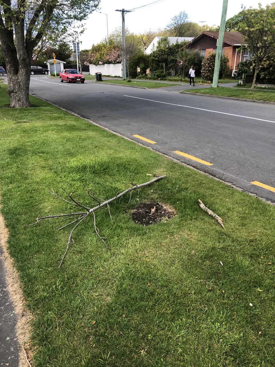 The photograph attached to this roading/streets report
