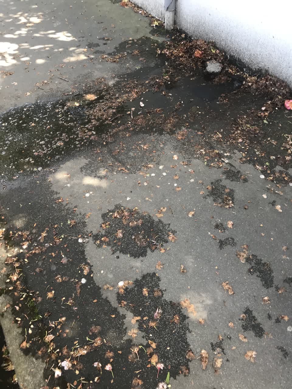 The photograph attached to this water leak report