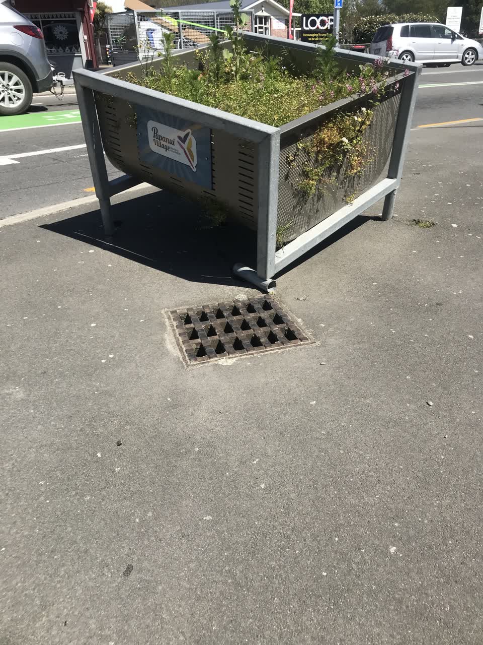 The photograph attached to this parks report