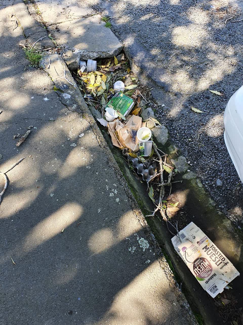The photograph attached to this roading/streets report