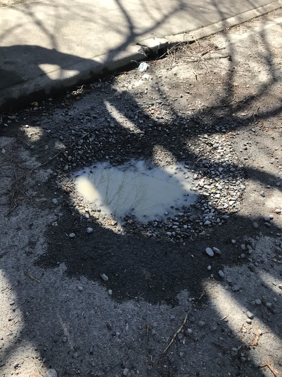 The photograph attached to this roading/streets report