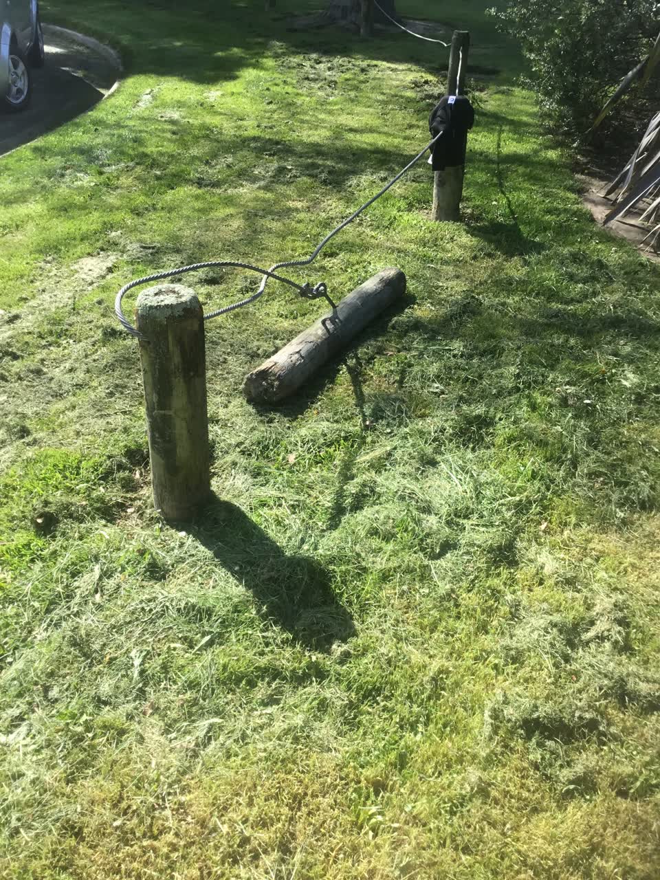 The photograph attached to this parks report