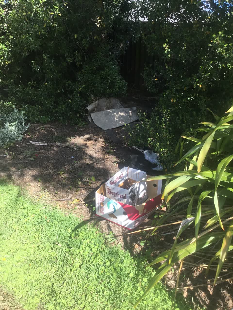 The photograph attached to this rubbish/recycling report