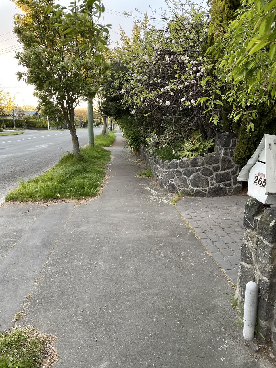 The photograph attached to this roading/streets report