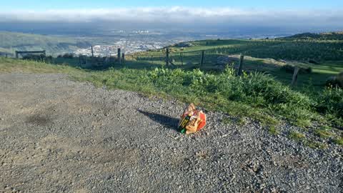Rubbish/Recycling, a report photo