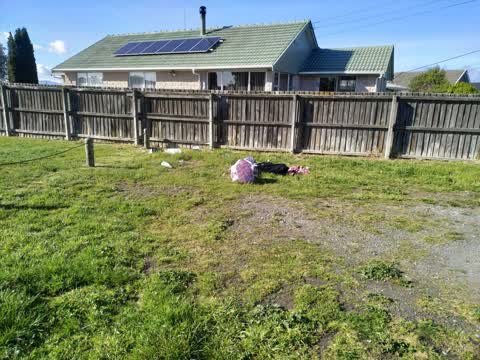 Rubbish/Recycling — a report photo
