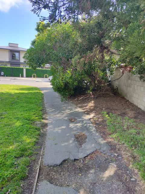 Roading/Streets, a report photo