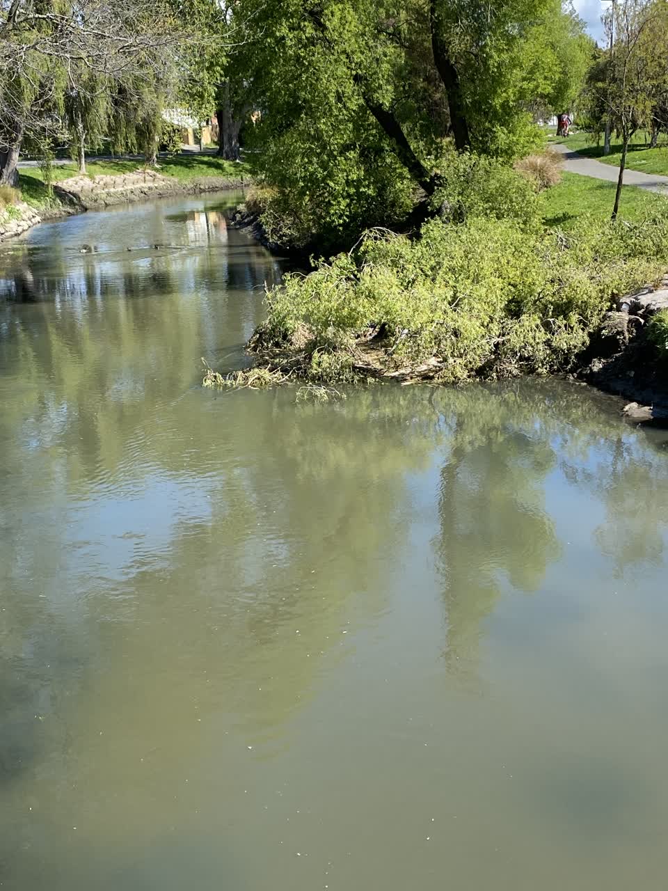 The photograph attached to this parks report