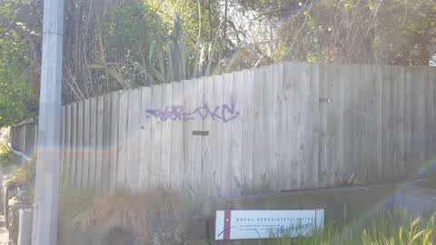 Graffiti, a report photo