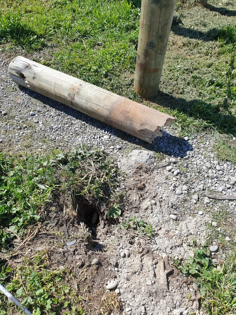 The photograph attached to this parks report