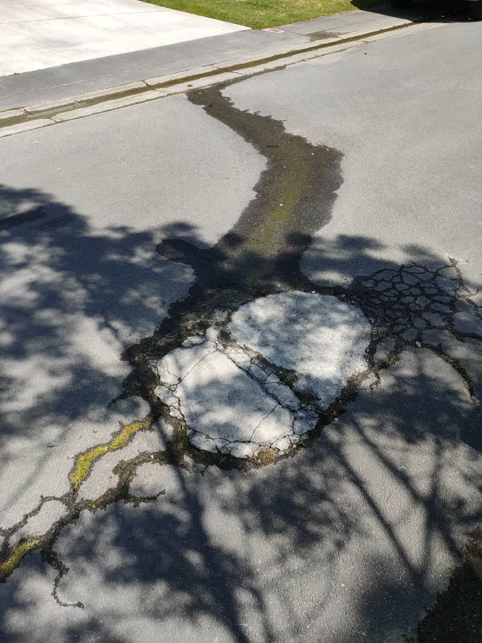 The photograph attached to this water leak report