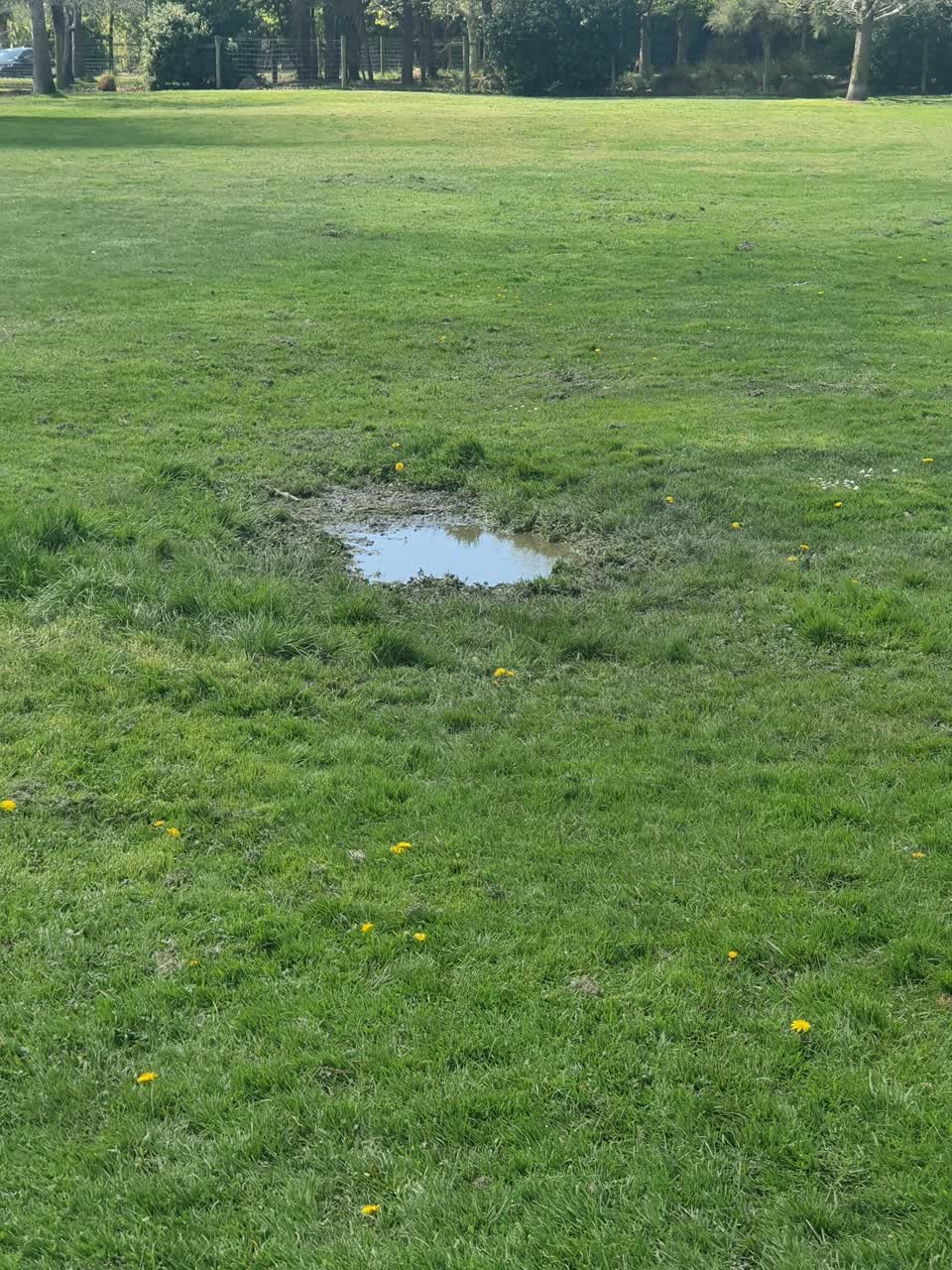The photograph attached to this parks report