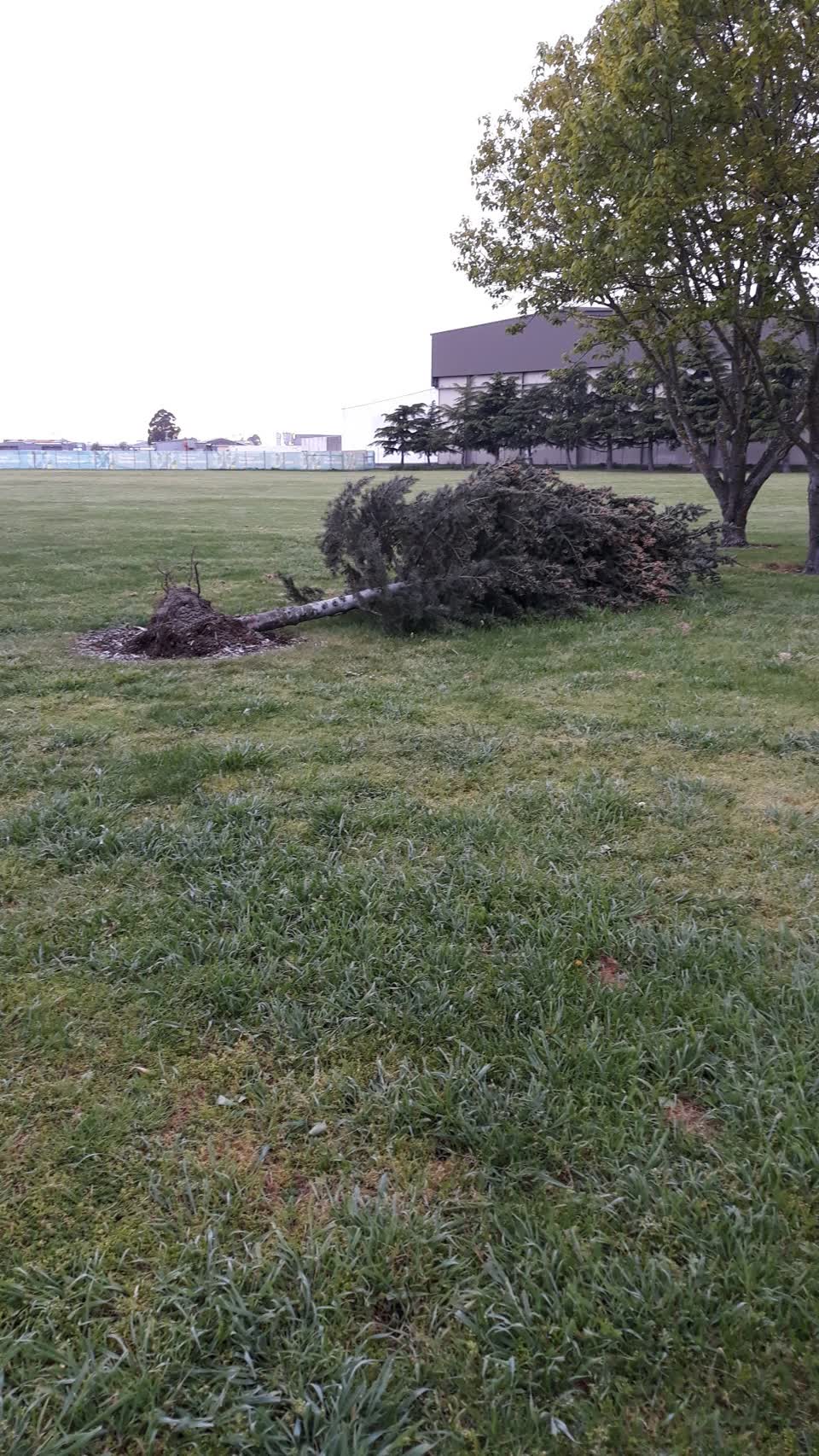 The photograph attached to this parks report