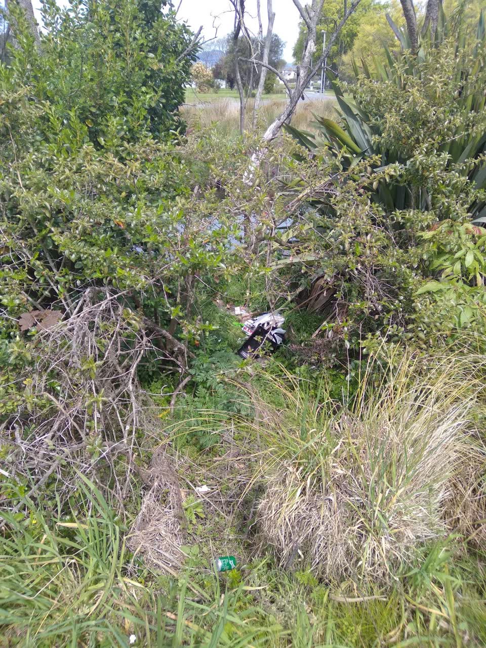 The photograph attached to this parks report