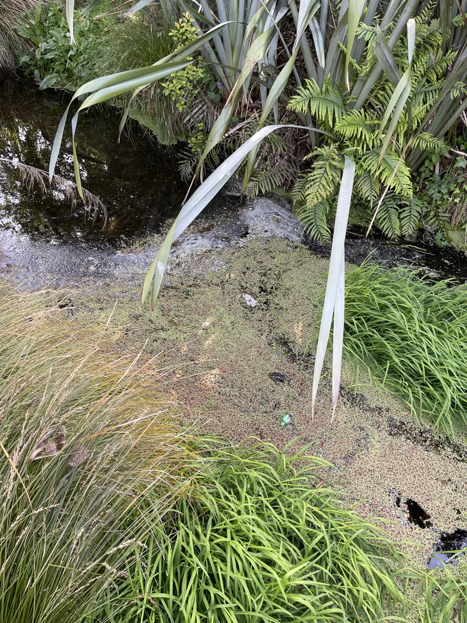 The photograph attached to this wastewater/stormwater report