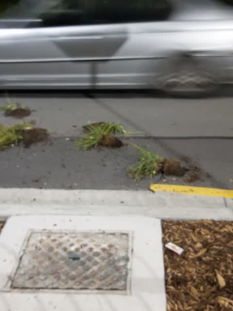 Roading/Streets, a report photo