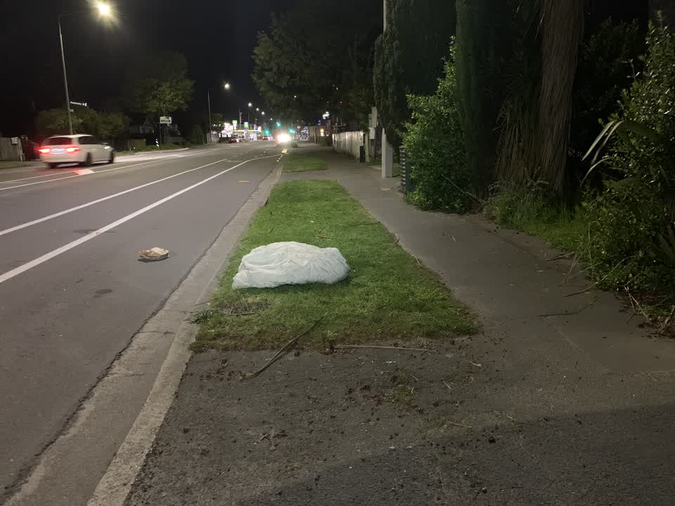 The photograph attached to this rubbish/recycling report
