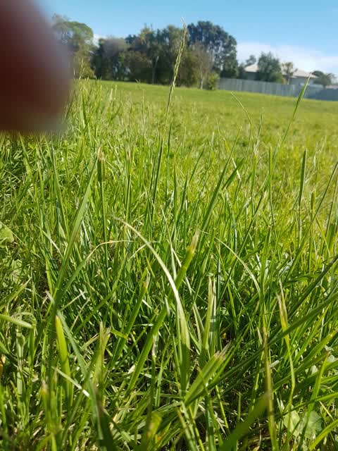 Parks, a report photo