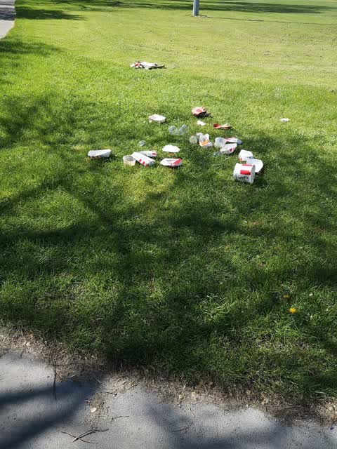 Rubbish/Recycling, a report photo