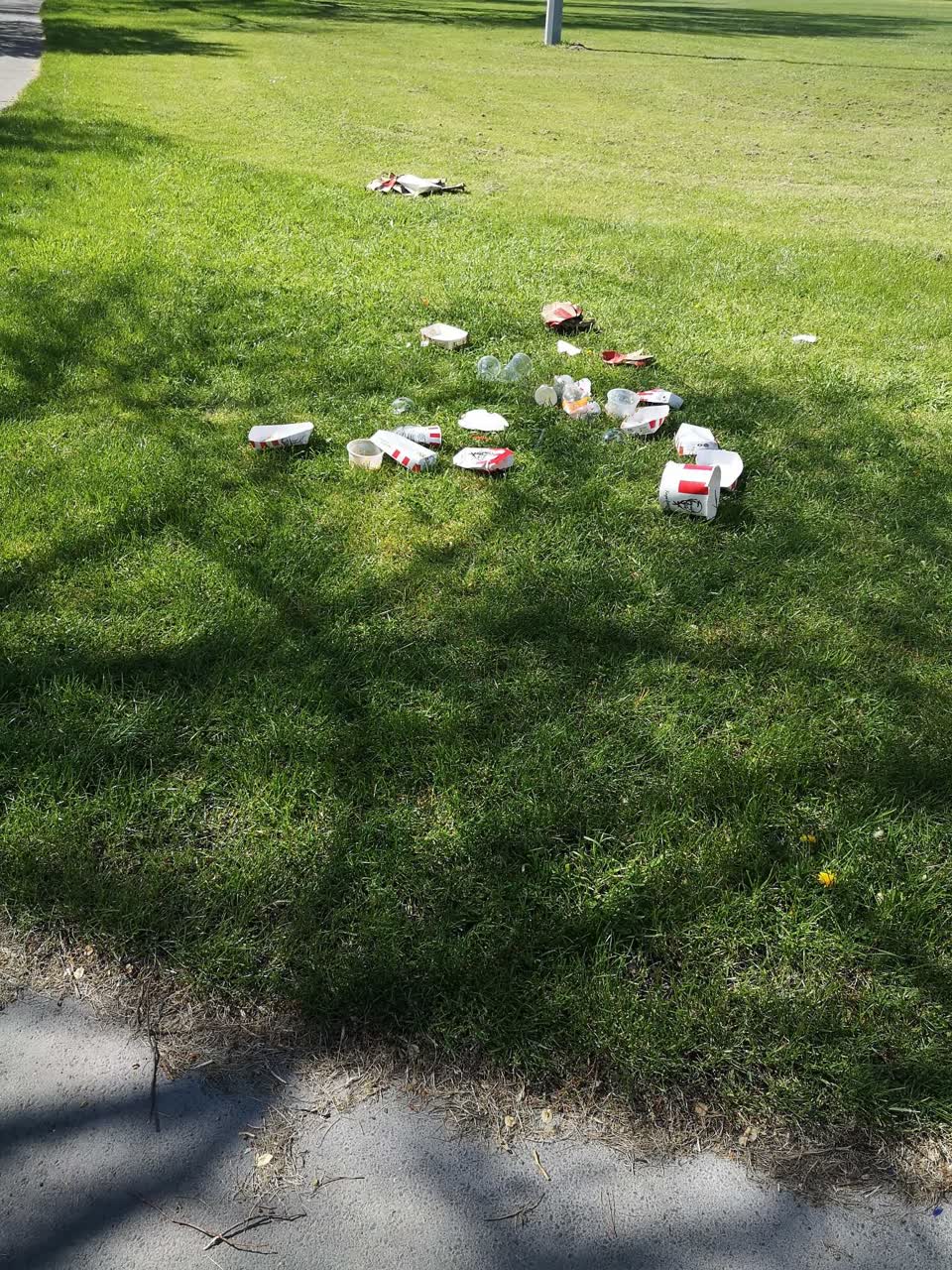 The photograph attached to this rubbish/recycling report