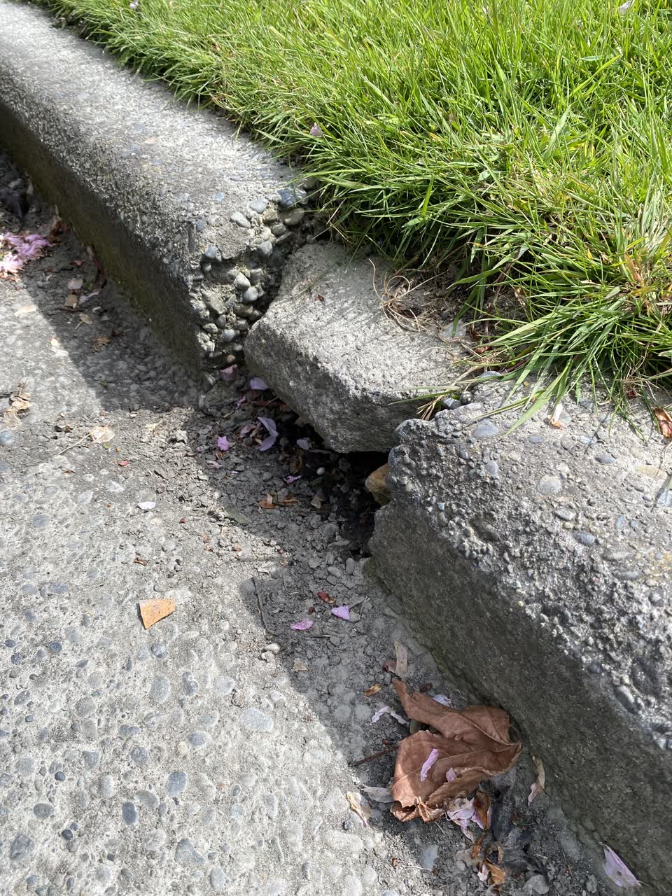 The photograph attached to this roading/streets report