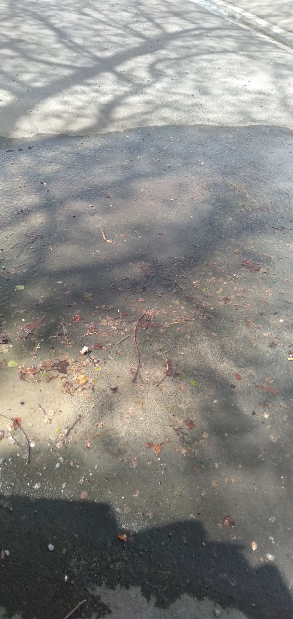 The photograph attached to this water leak report