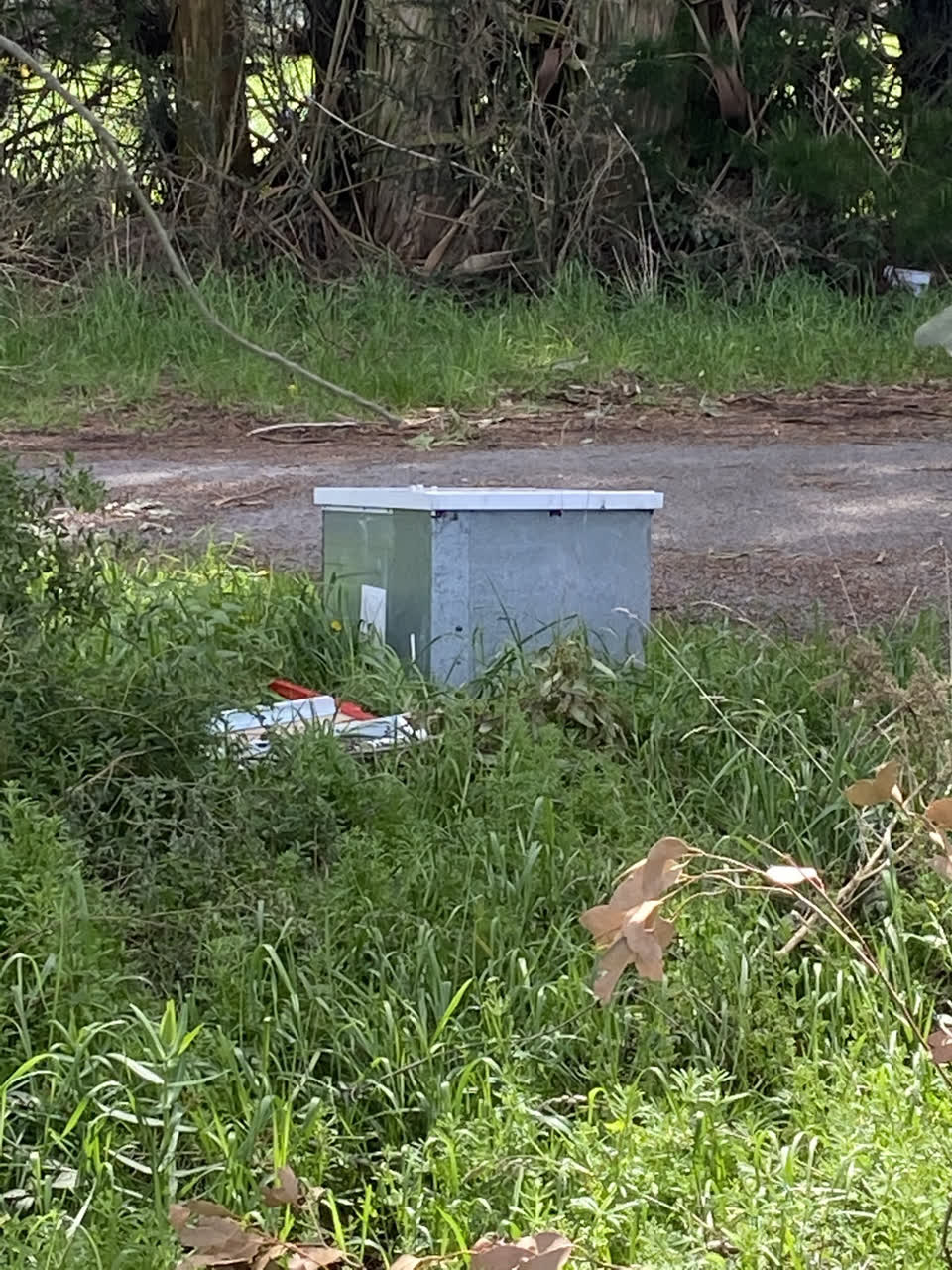 The photograph attached to this rubbish/recycling report