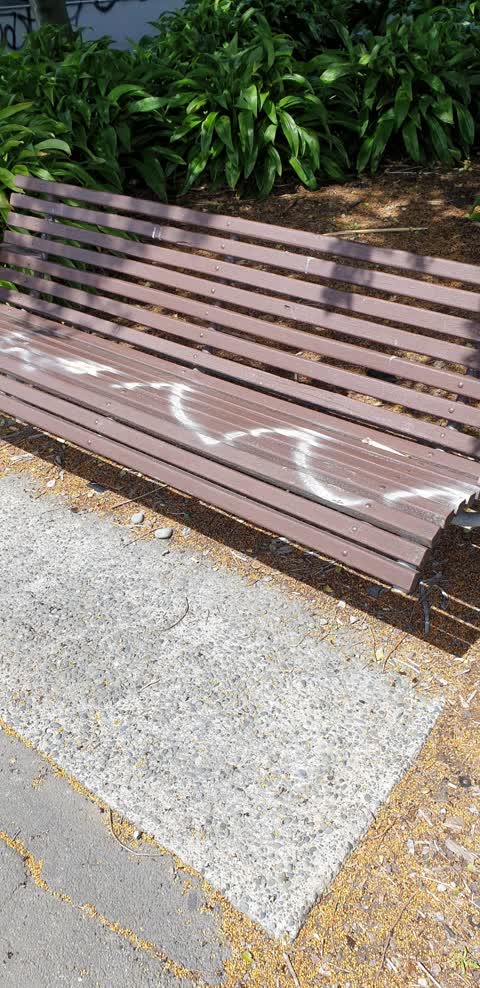 Graffiti, a report photo