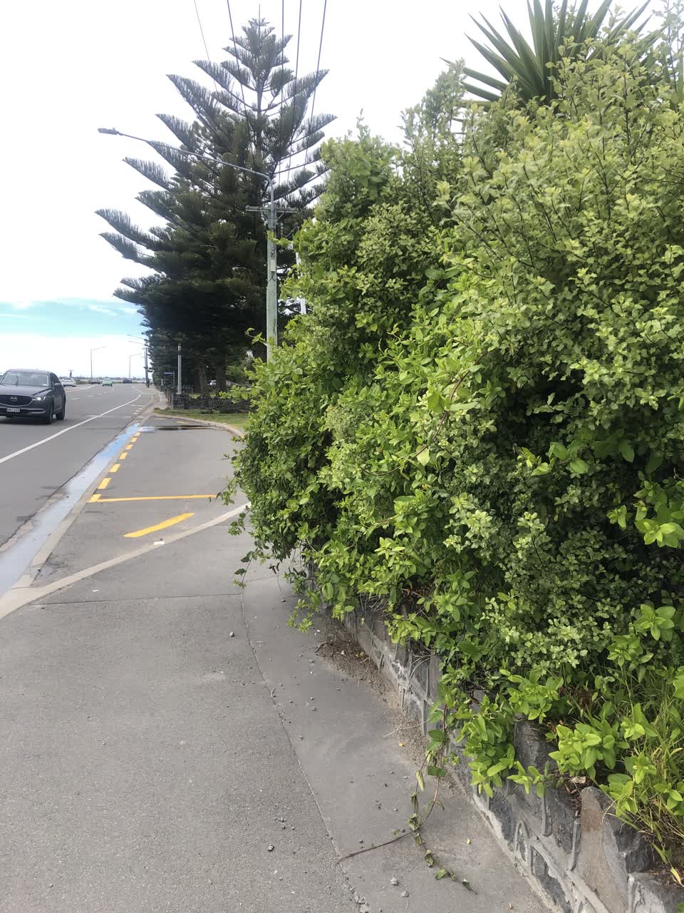 The photograph attached to this roading/streets report