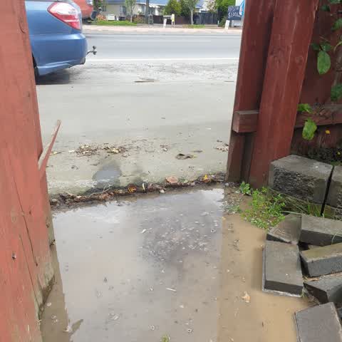 Roading/Streets, a report photo