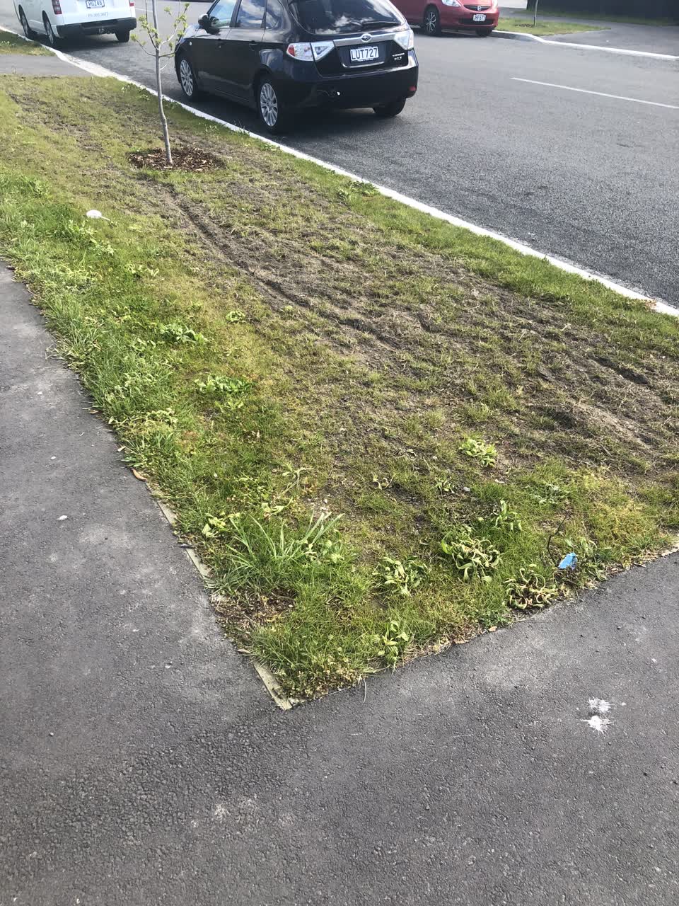 The photograph attached to this parks report
