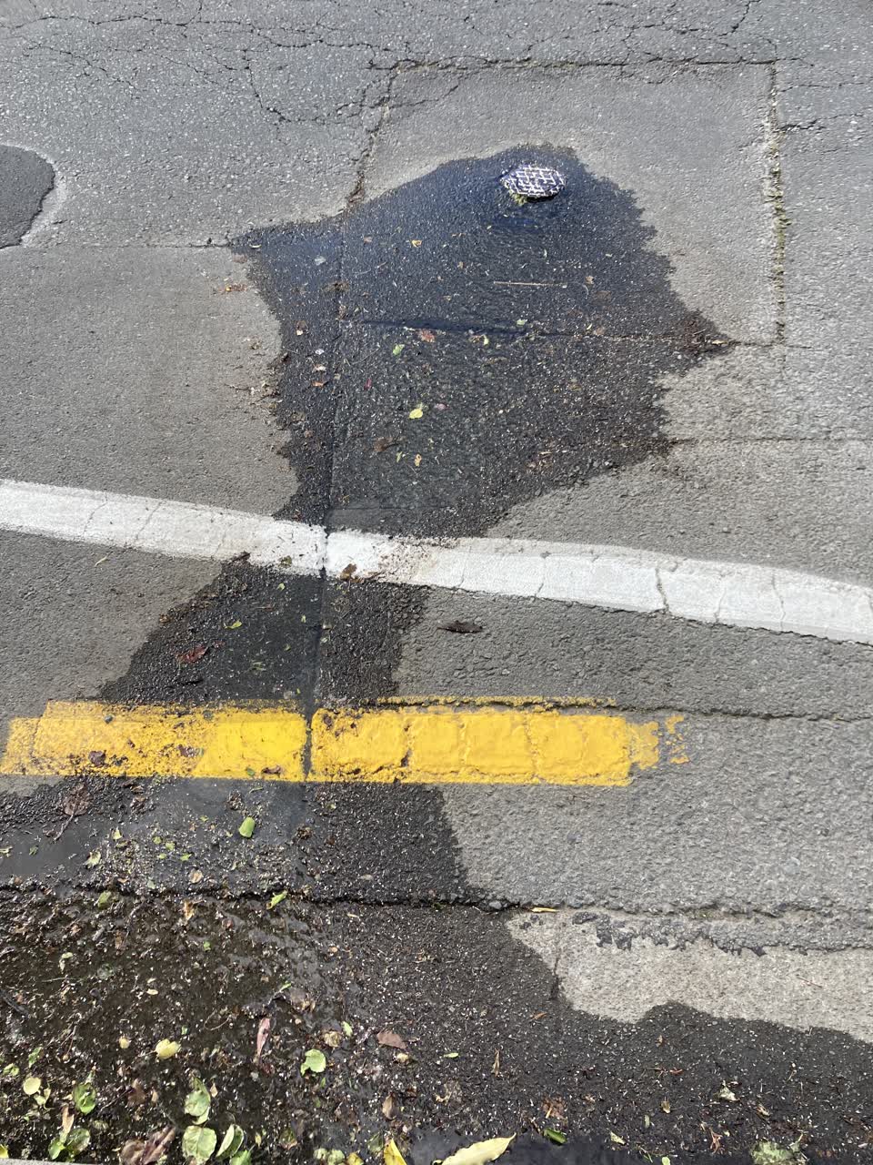 The photograph attached to this water leak report